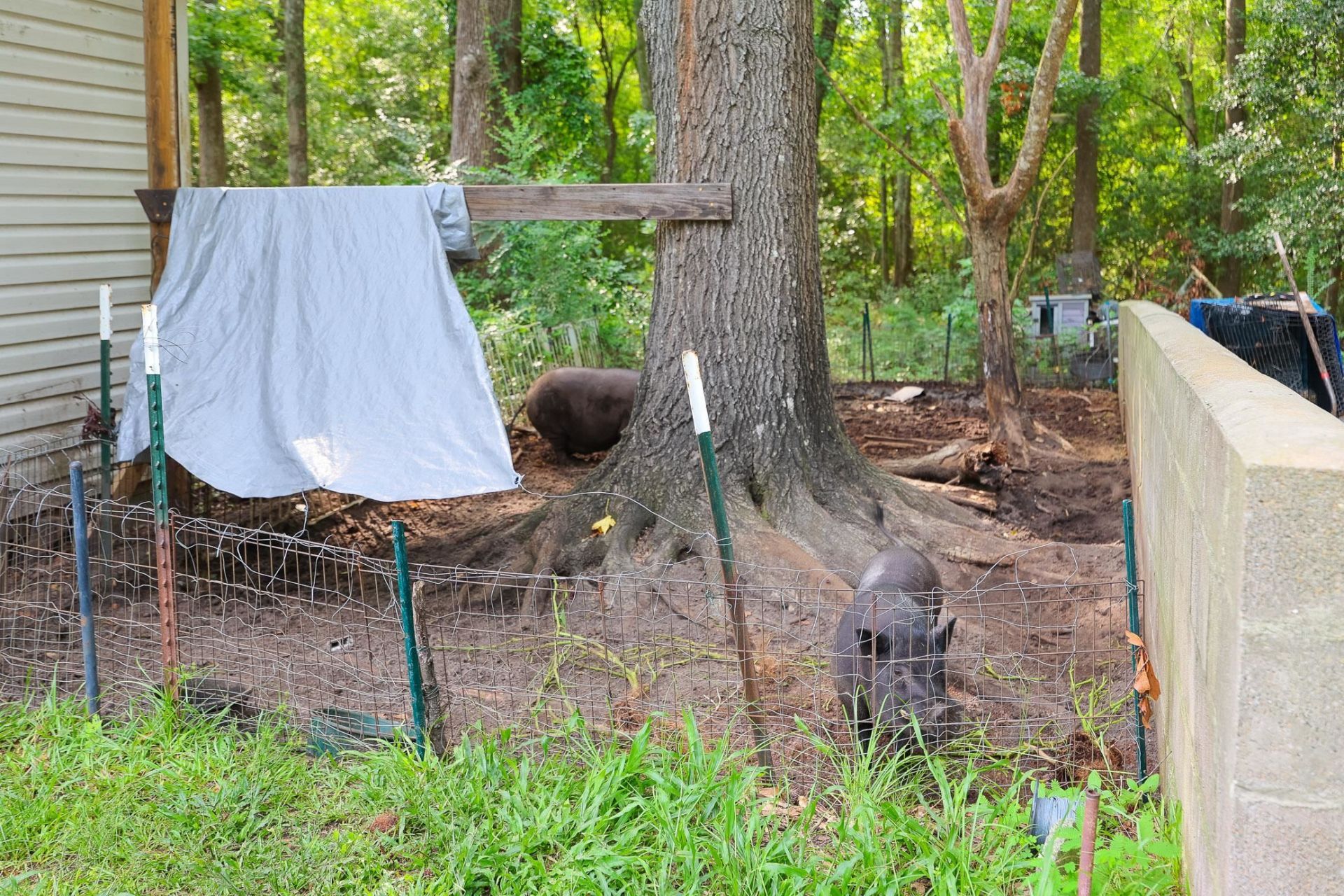 4744 Pauley Swamp Rd.  Photo 46