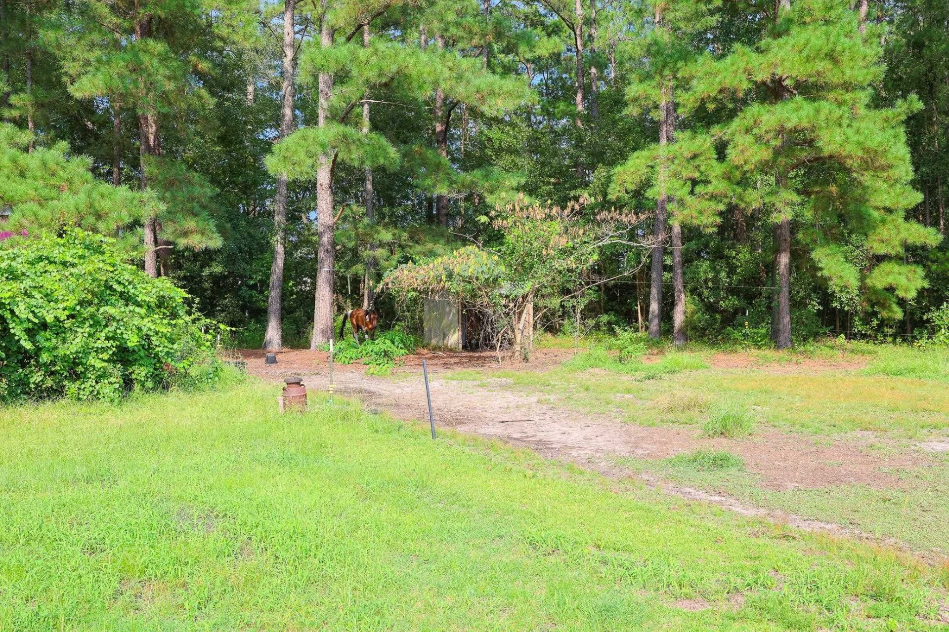 4744 Pauley Swamp Rd.  Photo 49