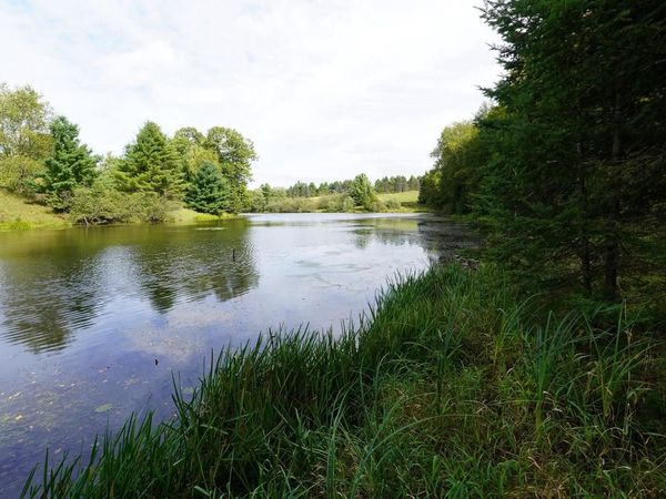 +/-3.17 Acres KEYES AVENUE, Medford, WI 54451