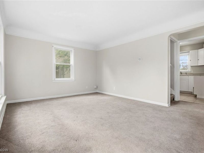 892 E 139th Street, Cleveland, OH 44110 Photo 27