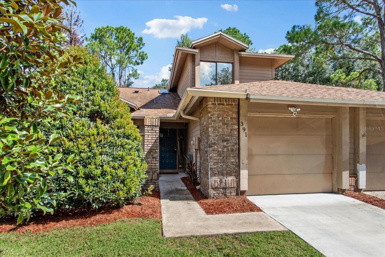 391 WINCHESTER PLACE Photo 6