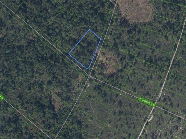 Lake Placid, FL 33852