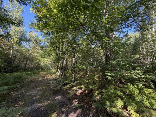 40Ac S Aldrich RD, Pickford, MI 49774