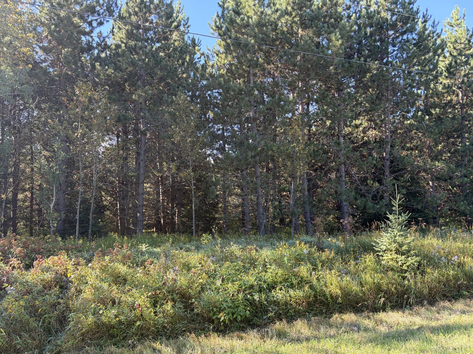 3893 E Gogomain Rd, Pickford, MI 49774 Main Photo