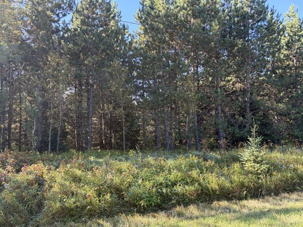 3893 E Gogomain RD, Pickford, MI 49774