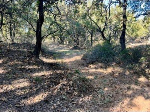 TBD County Road 357 , Gorman, TX 76454
