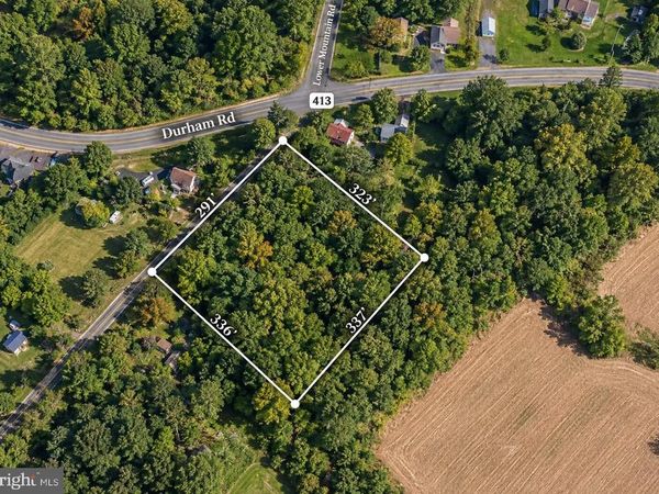 4575 LOWER MOUNTAIN ROAD , FURLONG, PA 18925