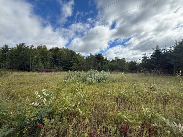 TBD 159th Ave, Bagley, MN 56621