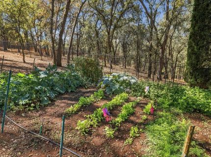 4120 Kilt Cir, El Dorado Hills, CA 95762 Photo