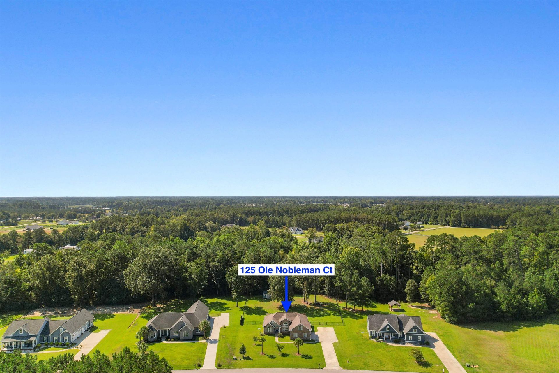 125 Ole Nobleman Ct. Photo 40