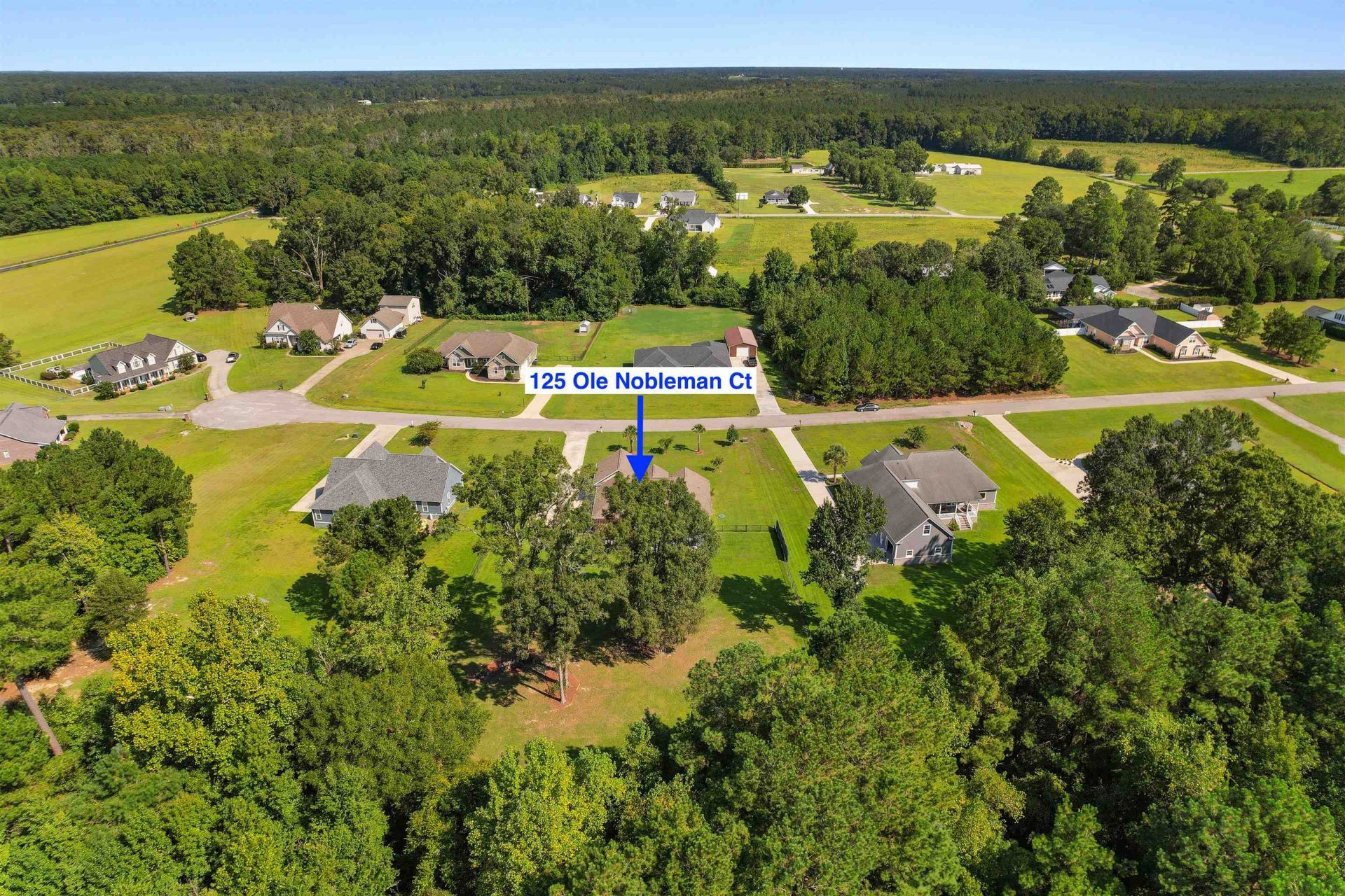 125 Ole Nobleman Ct. Photo 41