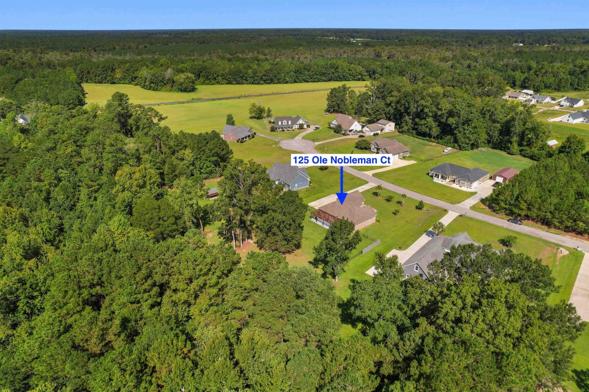 125 Ole Nobleman Ct. Photo 42