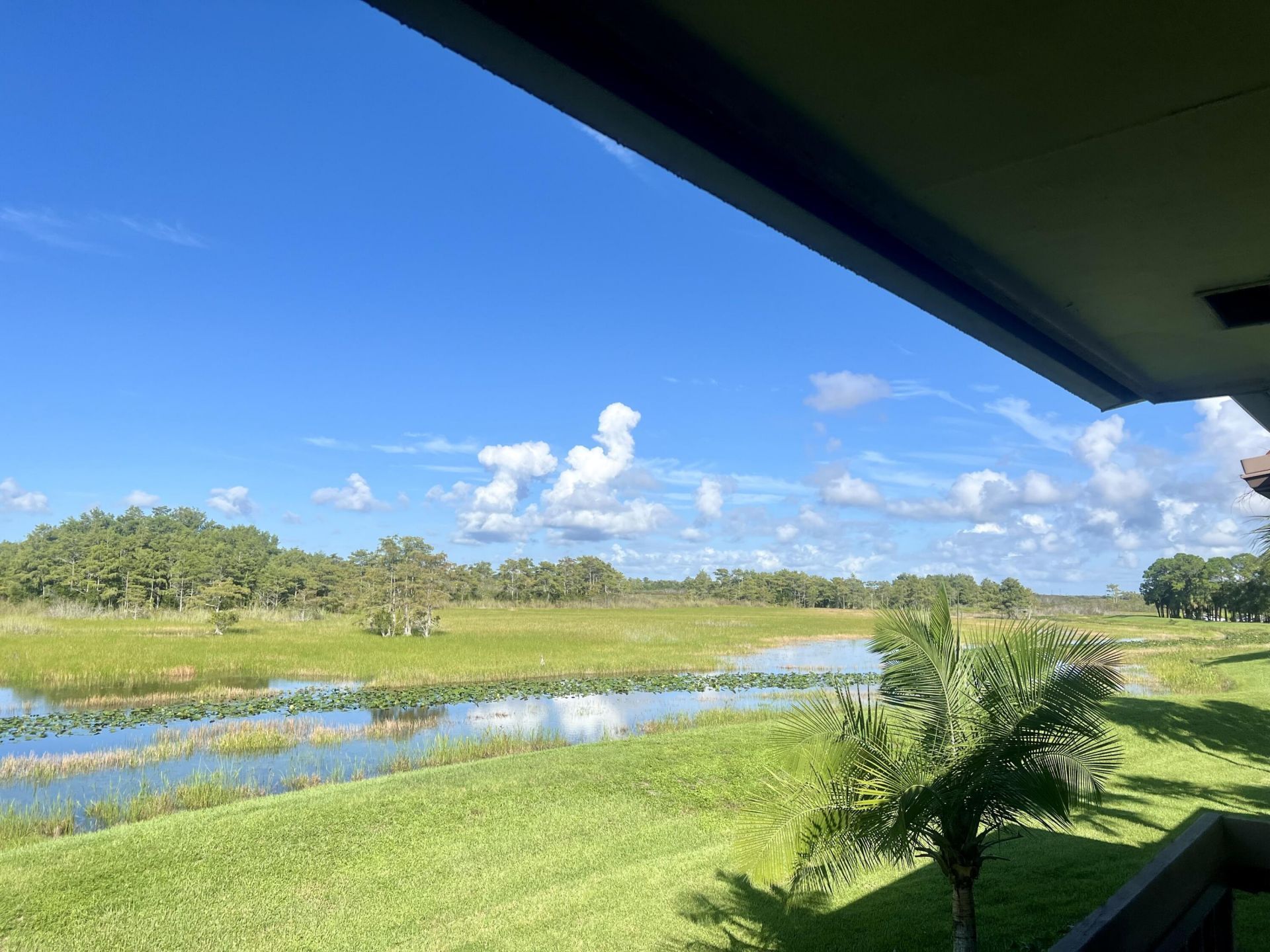 1111 Duncan Circle, Unit 202, Palm Beach Gardens, FL 33418 Photo
