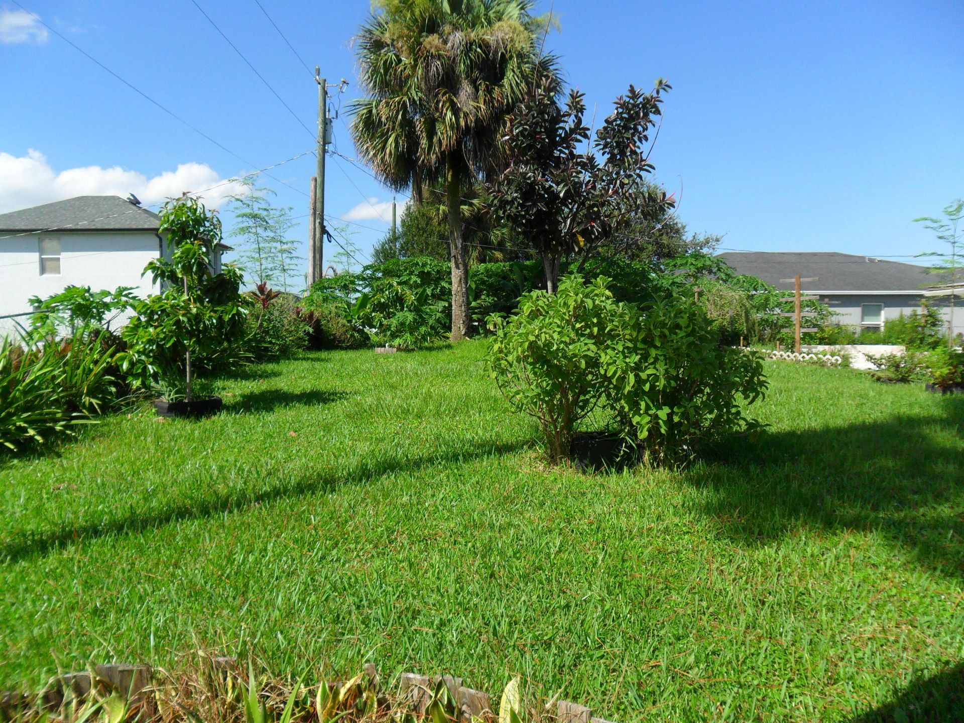 2574 SW Deckard Street, Port Saint Lucie, FL 34953 Photo