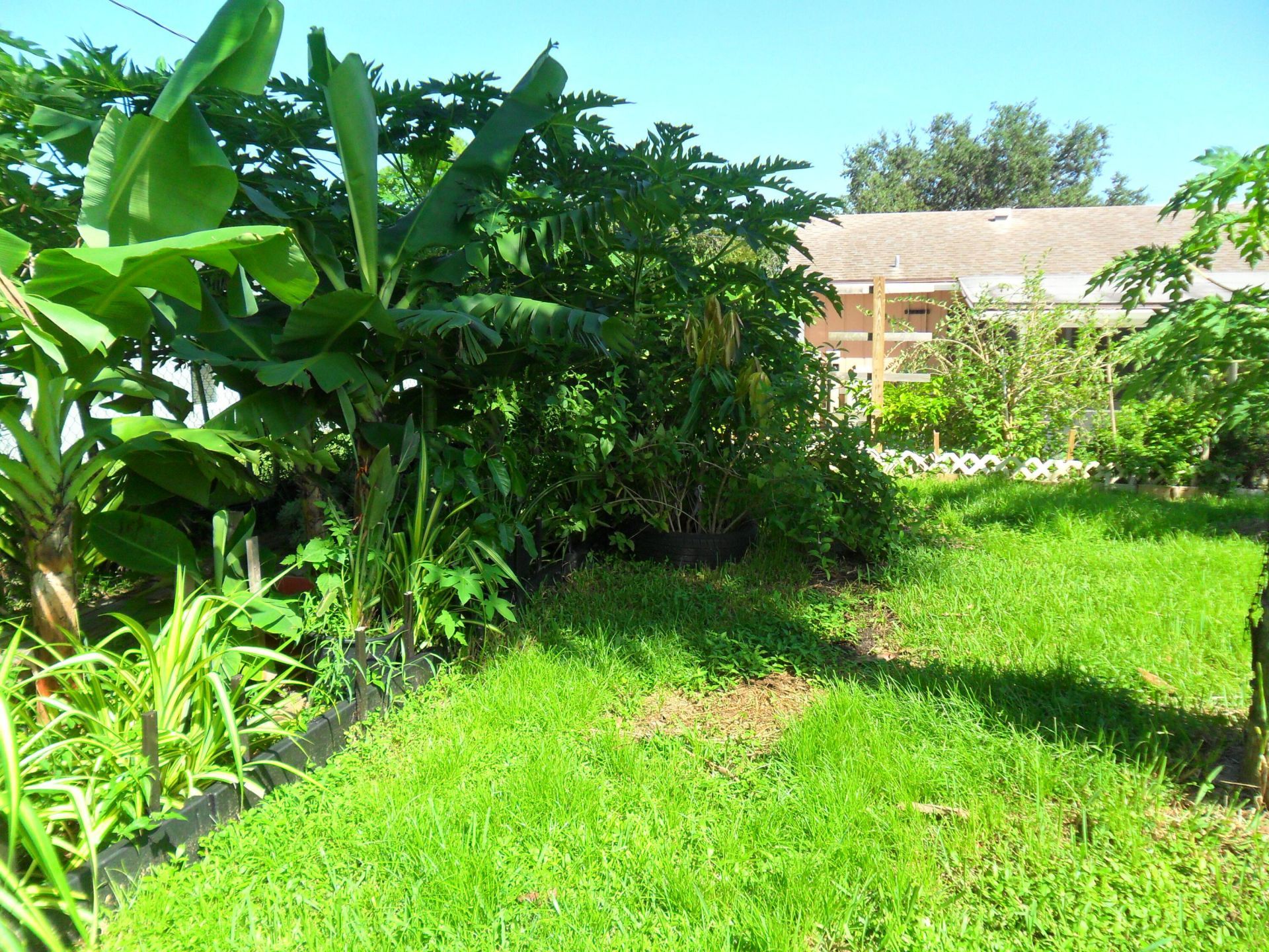 2574 SW Deckard Street, Port Saint Lucie, FL 34953 Photo