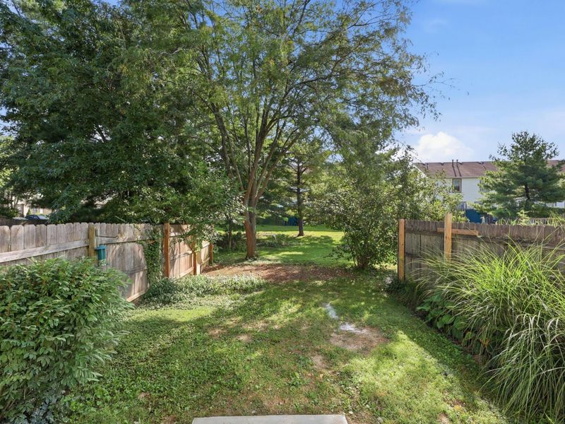 8702 Glencanyon Drive, Powell, OH 43065 Photo 34