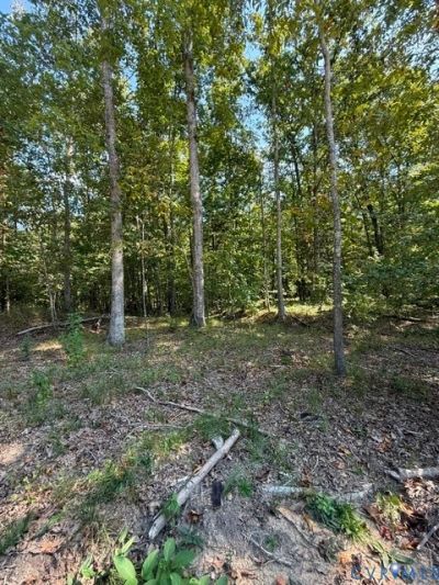 00 Hidden Springs, Powhatan, VA 23113 Main Photo