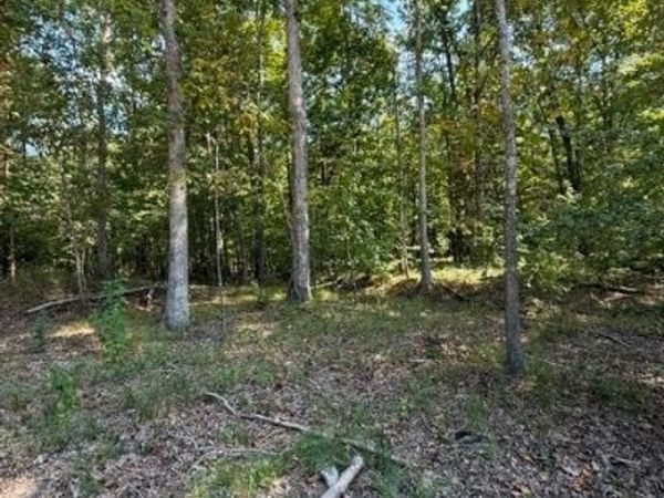 00 Hidden Springs , Powhatan, VA 23113