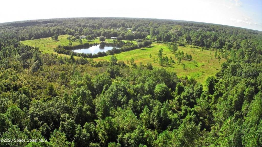 572 N Pine Street, Pierson, FL 32180 Photo