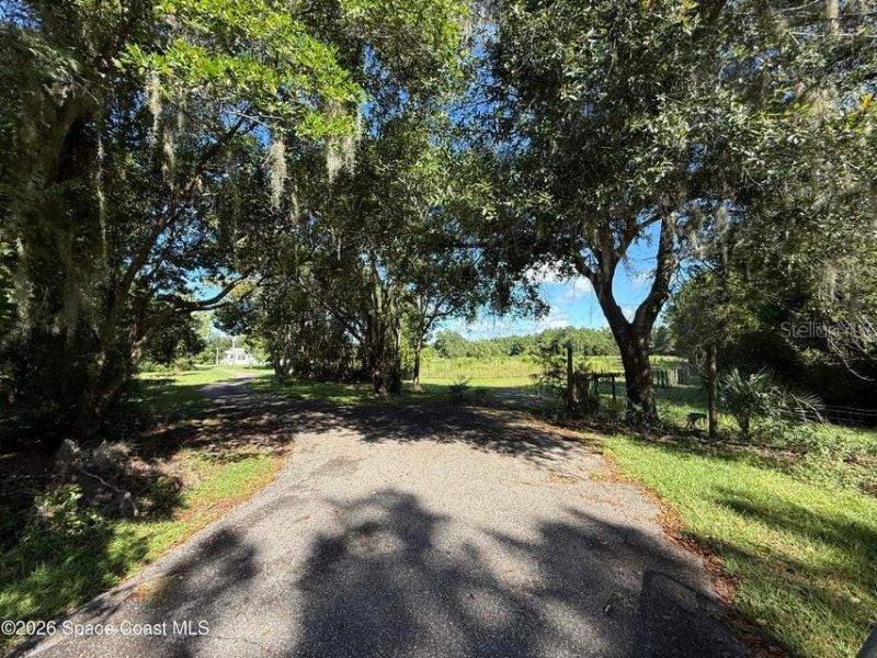 572 N Pine Street, Pierson, FL 32180 Photo