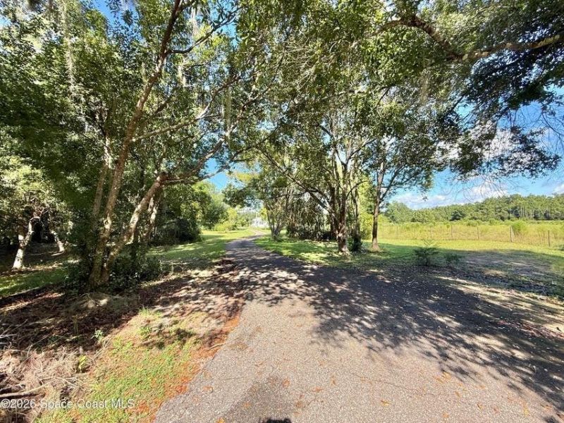 572 N Pine Street, Pierson, FL 32180 Photo