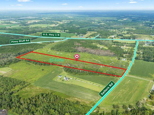 0 Sellers Road, Baxley, GA 31513