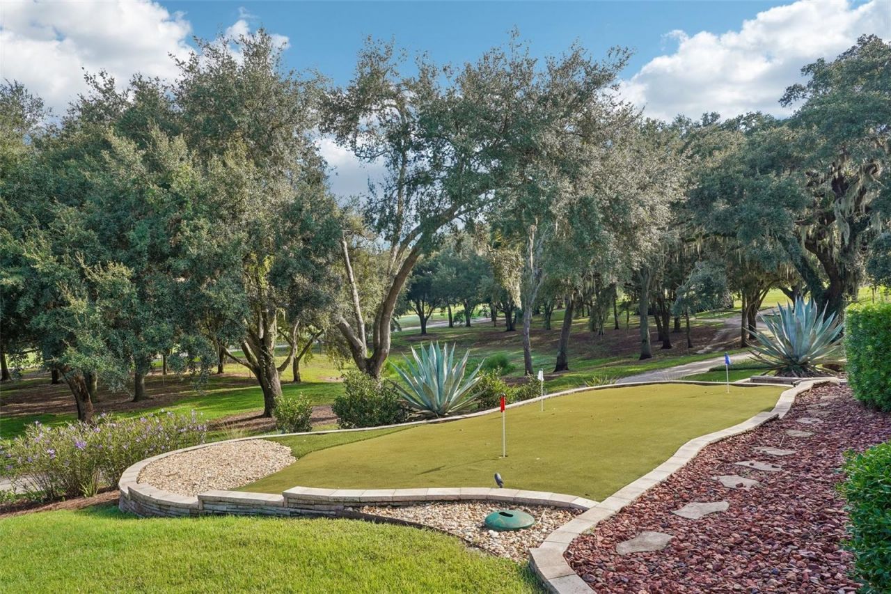 2055 Lake Ridge Drive, The Villages, FL 32162 Photo