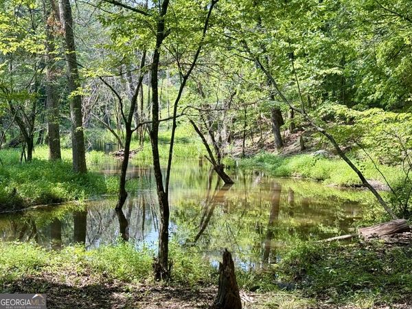 0 N Point Peter Road, Carlton, GA 30627