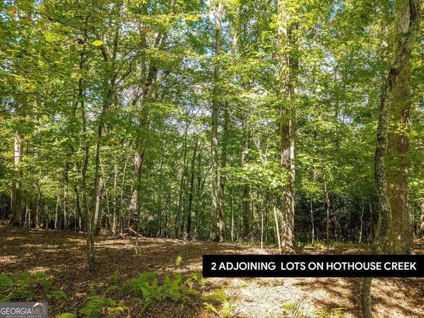 LT 27/28 Donna Lee Lane, Unit 27/28, Mineral Bluff, GA 30559