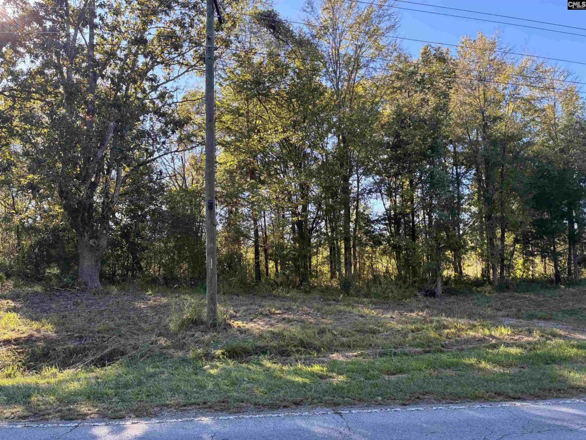 21225 Sc Hwy 121  Photo 4