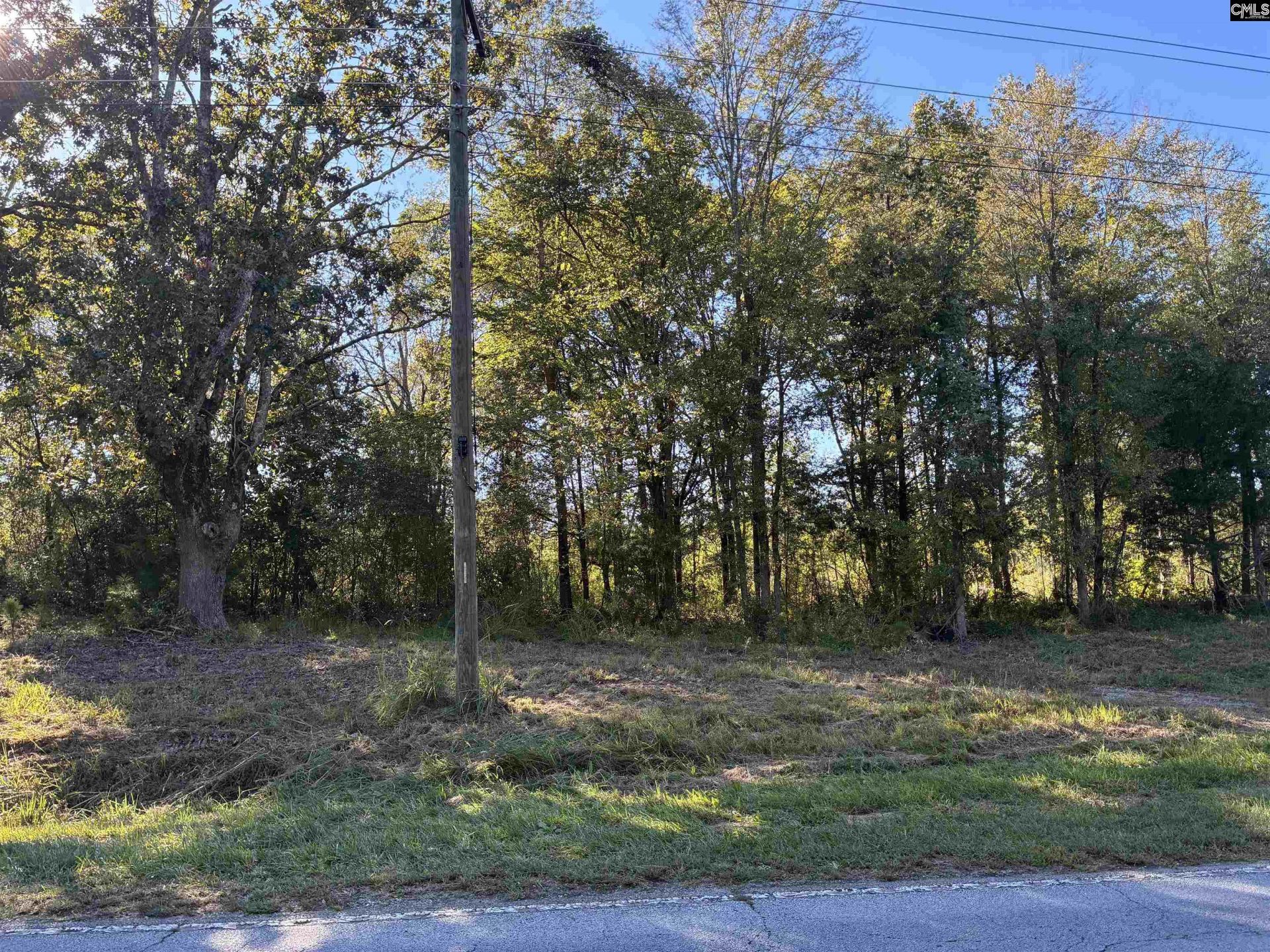21225 Sc Hwy 121  Photo 5