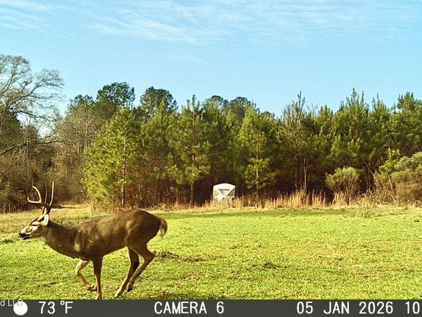 Jayess Road, Jayess, MS 39641