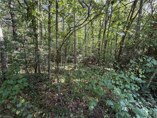 Lots 20 & 21 Zinzendorf Lane , Moravian Falls, NC 28654