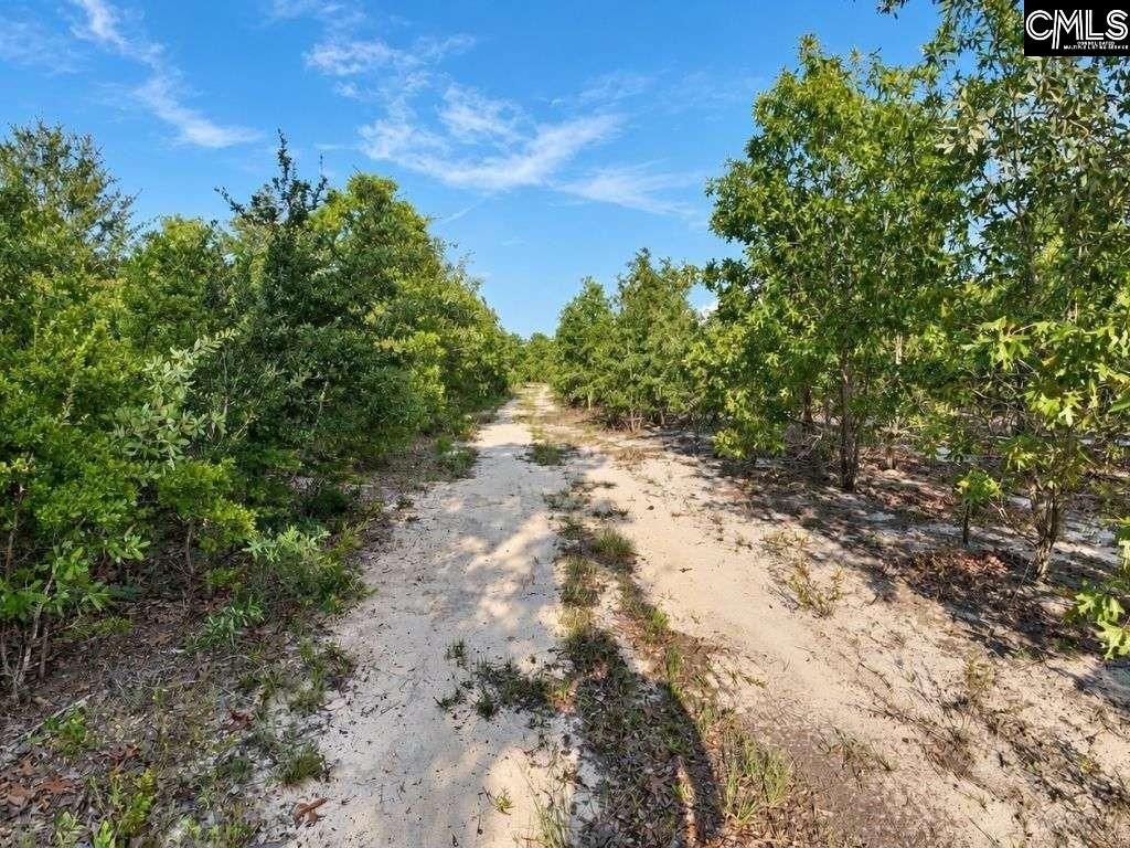 0 Lot 1 Old Georgetown Road W Photo 14