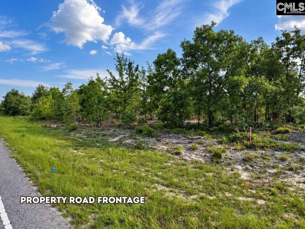 0 Lot 1 Old Georgetown Road W Photo 16