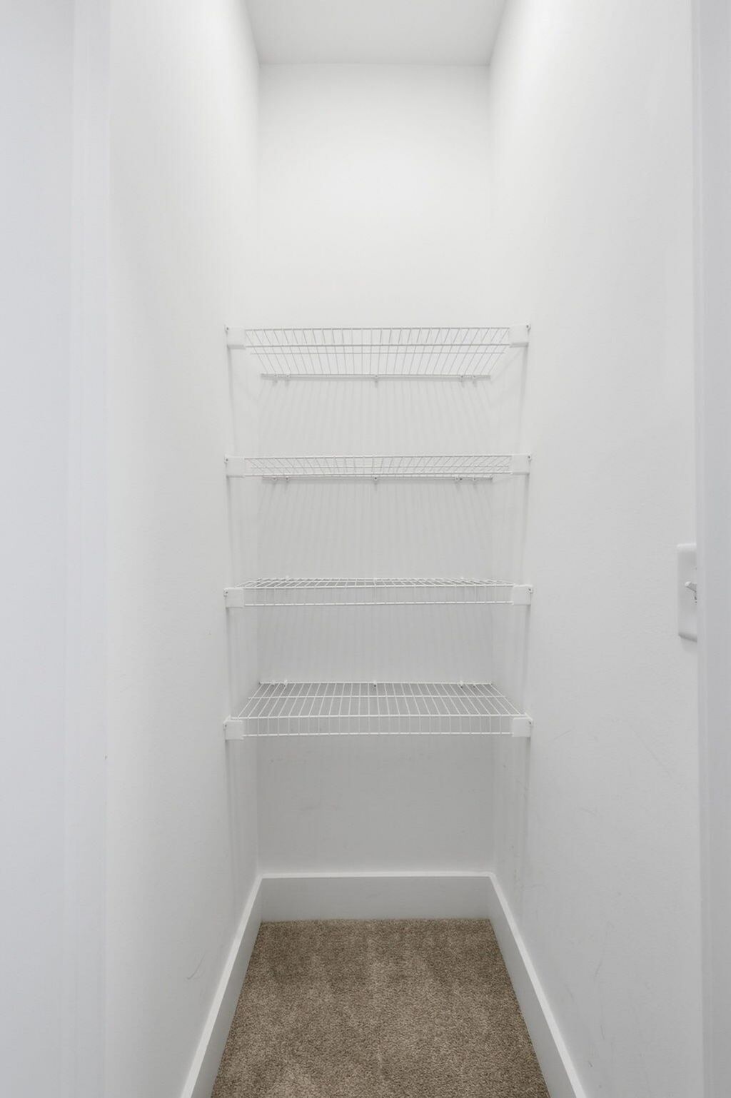 617 Trio Lane Photo 39