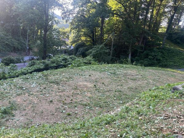229 Silverbell Lane, Gatlinburg, TN 37738