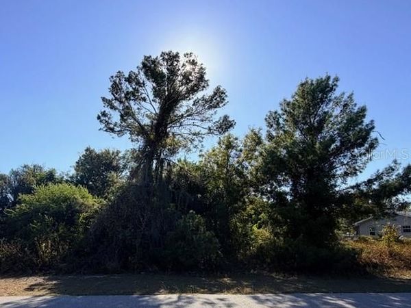 254 LOQUAT ROAD NW, LAKE PLACID, FL 33852
