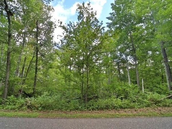 TBD Terminal Rd , Breezy Point, MN 56472