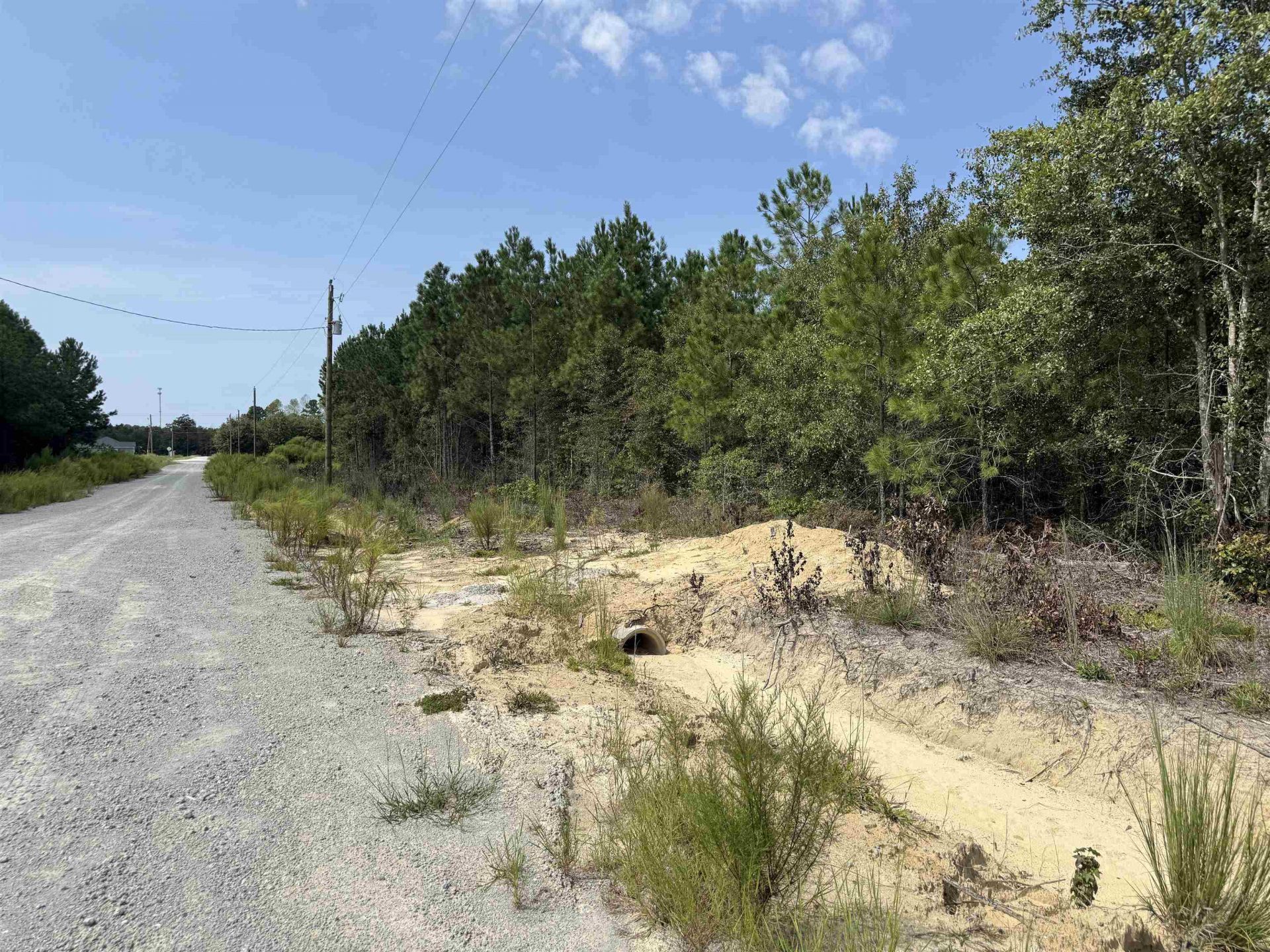 Lot 10 Ellwood Rd.  Photo 18