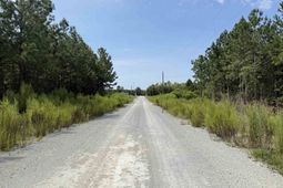 Lot 10 Ellwood Rd.  photo 4