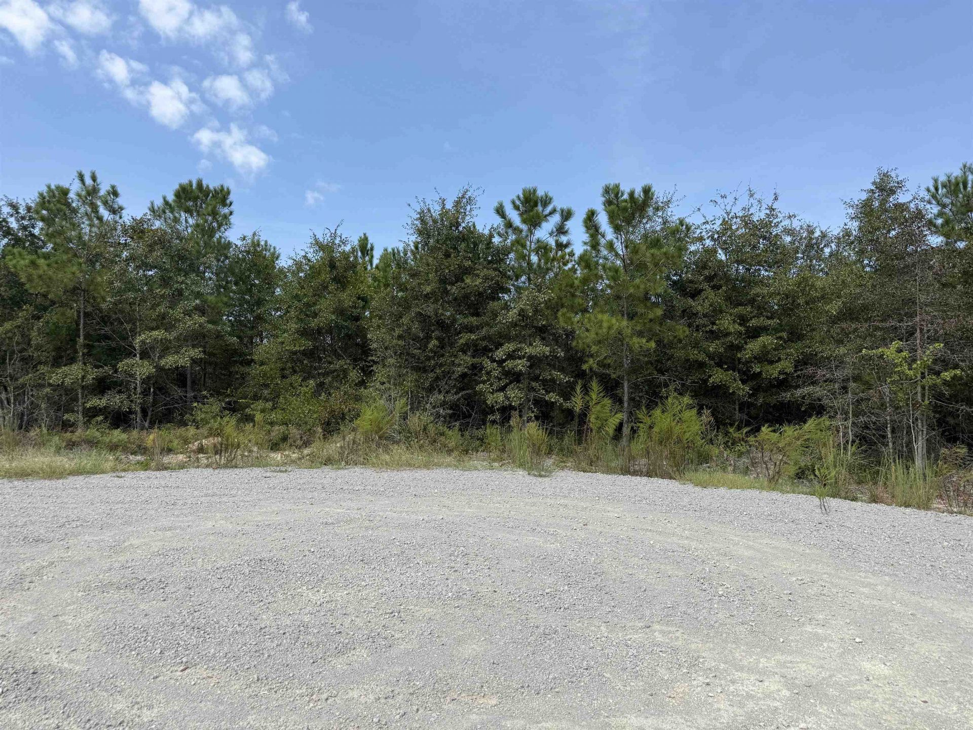 Lot 10 Ellwood Rd.  Photo 21