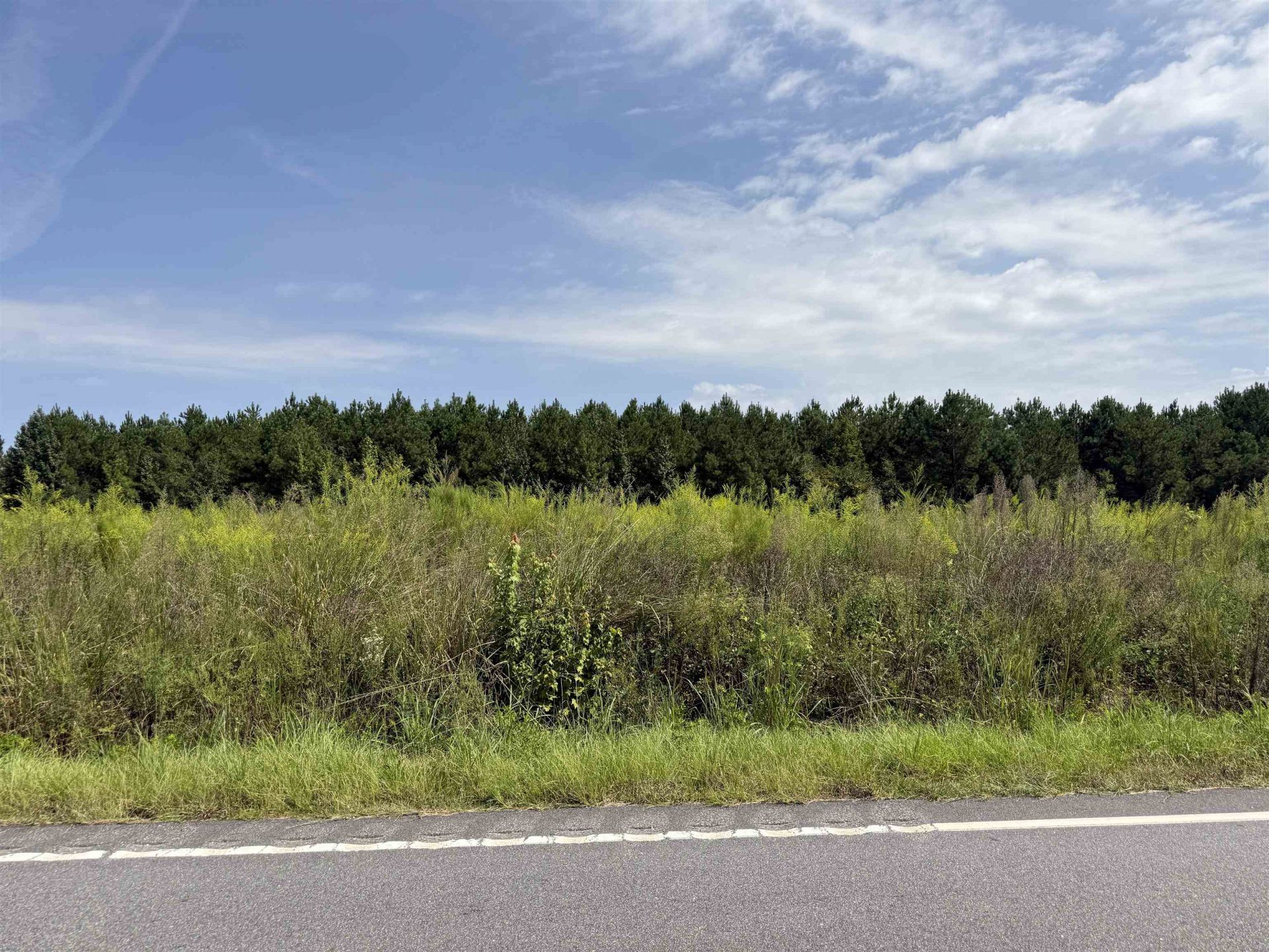 Lot 10 Ellwood Rd.  Photo 26