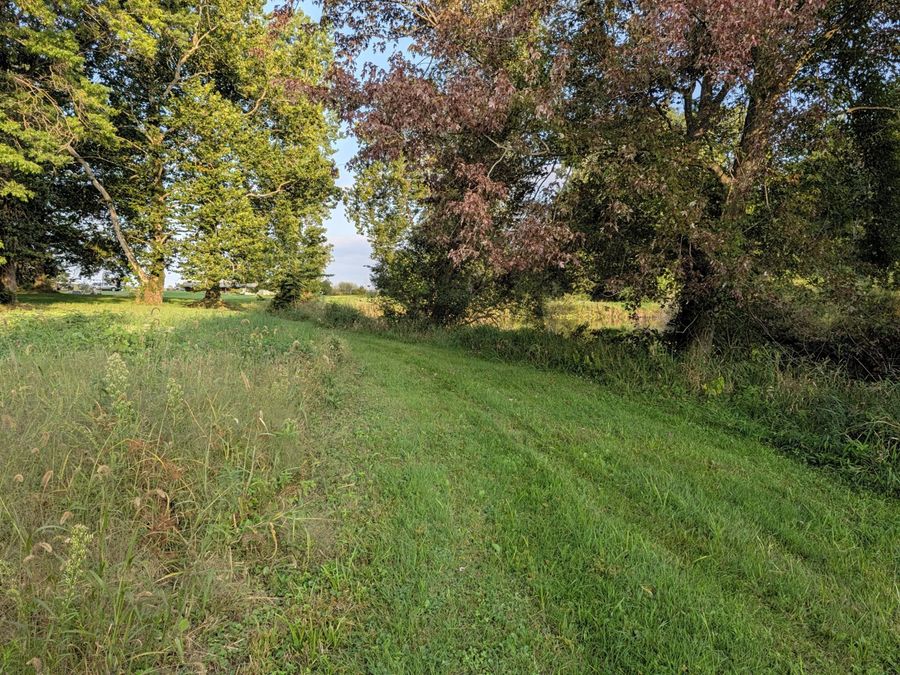 Property Image 56