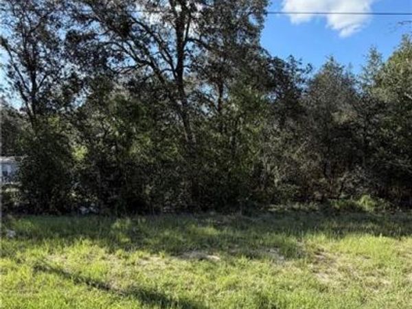 NE 106th TER , WILLISTON, FL 32621