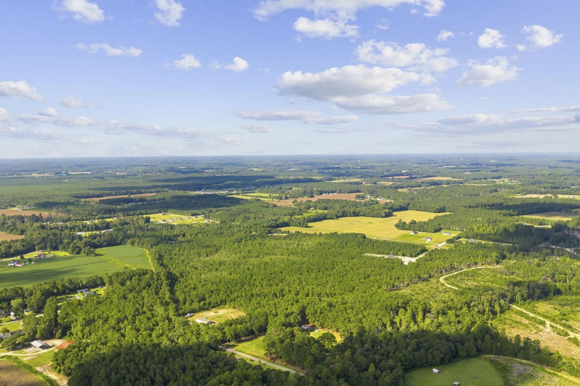 Lot 11 Ellwood Rd.  Photo 14