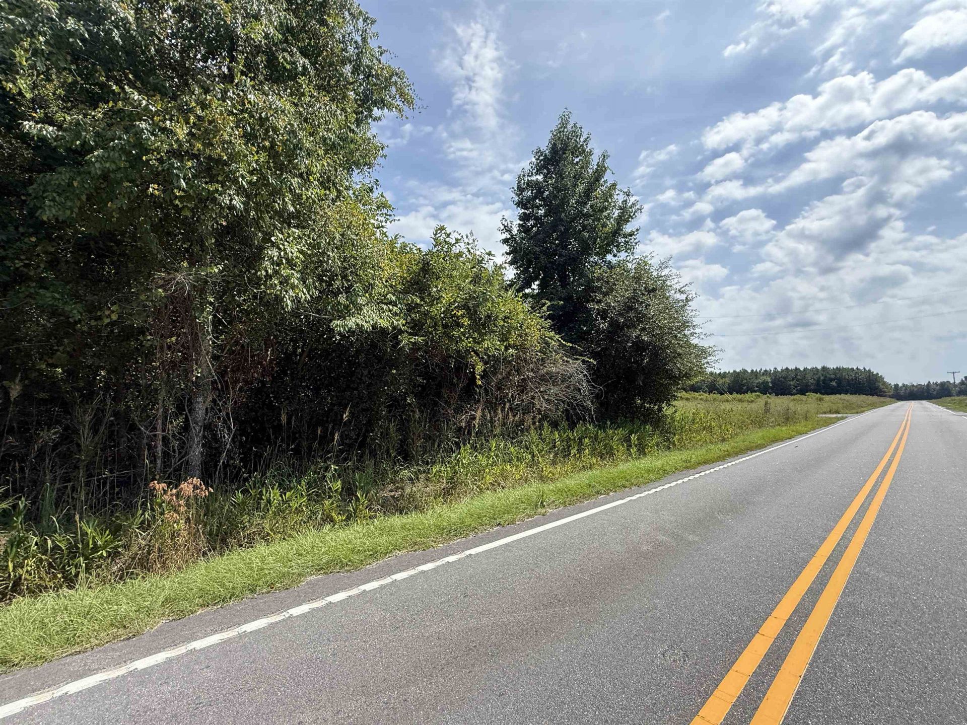 Lot 11 Ellwood Rd.  Photo 21
