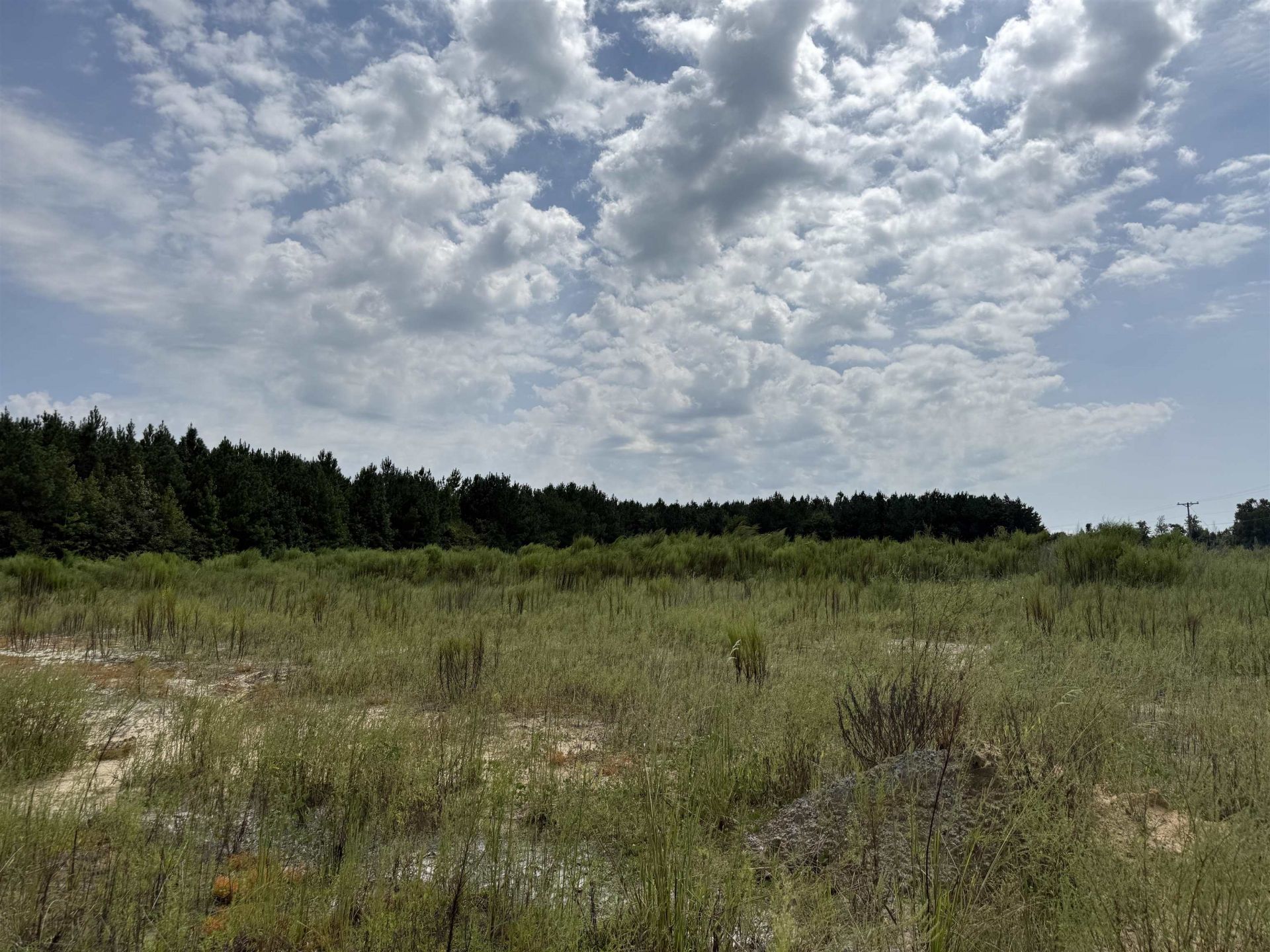 Lot 11 Ellwood Rd.  Photo 28