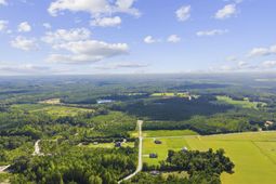 Lot 11 Ellwood Rd.  photo 4