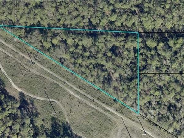Eddie ST , HASTINGS, FL 32145